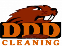 DDD & Mary77 Cleaning S.R.L. logo
