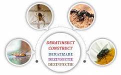 Deratinsect Construct S.R.L. logo