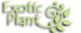 Exotic Plant Productions S.R.L. logo