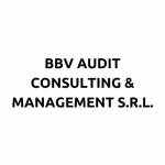 BBV Audit Consulting & Management S.R.L. logo