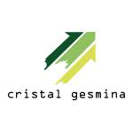 Cristal Gesmina S.R.L. logo