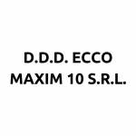 D.D.D. Ecco Maxim 10 S.R.L. logo