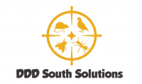 DDD South Solutions S.R.L. logo
