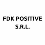 Fdk Positive S.R.L. logo