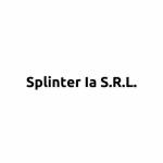 Splinter Ia S.R.L. logo